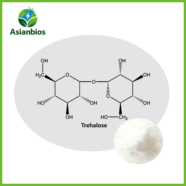 trehalose powder